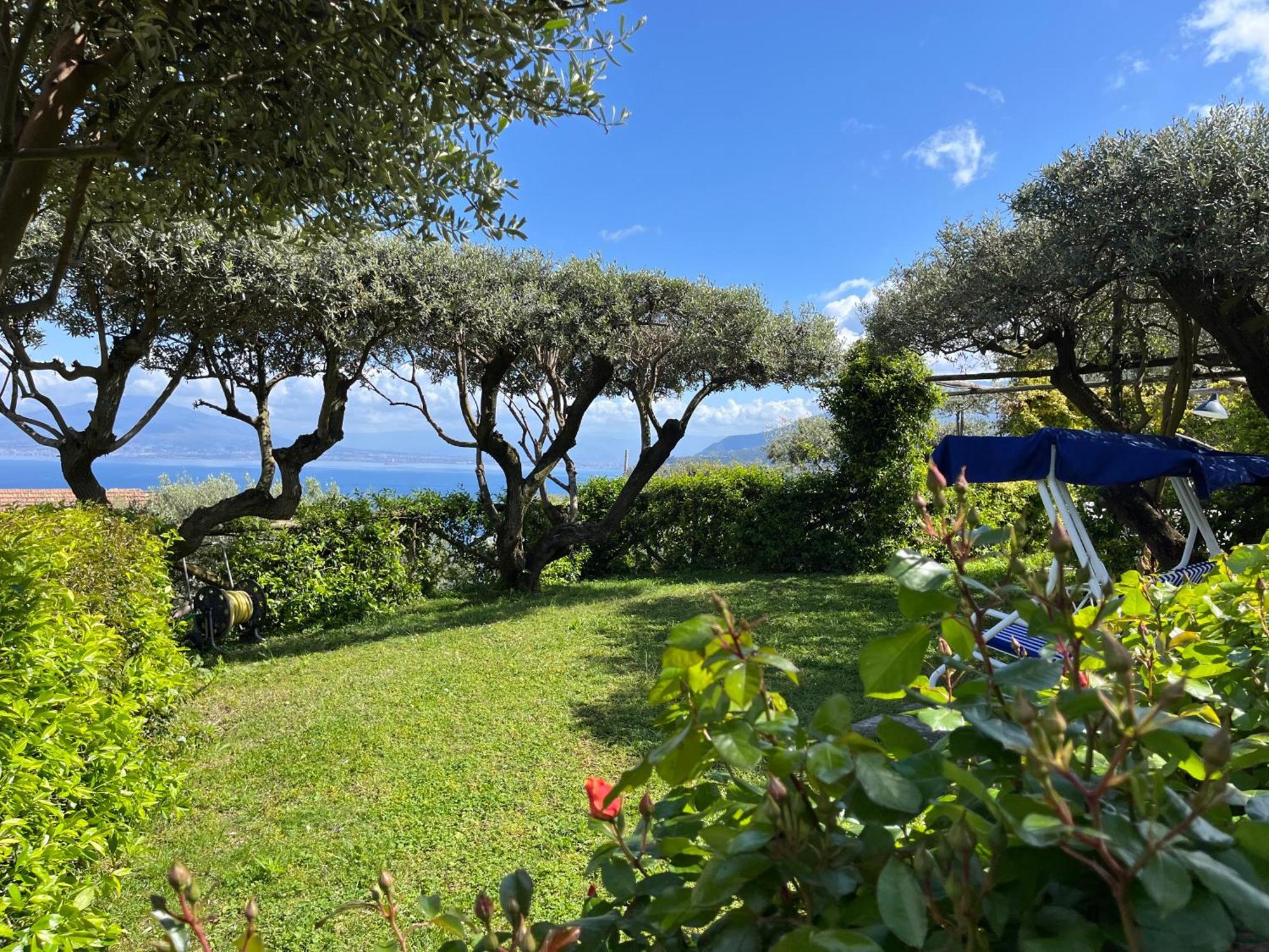 Sorrento Olive Tree Garden Hotel Eksteriør billede